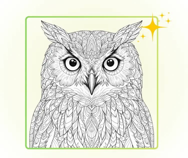 Professional Quality and Easy-to-Use Pages