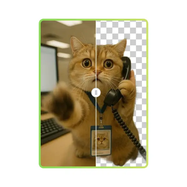 PNG Maker - Step 2: Preview Generated PNG Result