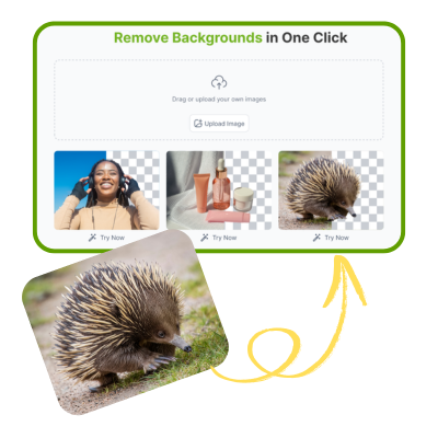 Suppresseur d'arrière-plan IA : Étape 1 – Téléchargez l'image que vous souhaitez modifier