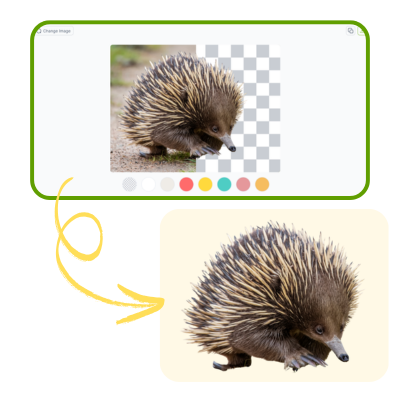 Suppresseur d'arrière-plan IA : Étape 3 – Téléchargez votre PNG transparent ou ajoutez un arrière-plan