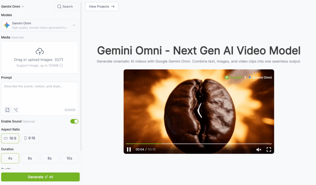 Gemini Omni Model in VisualGPT