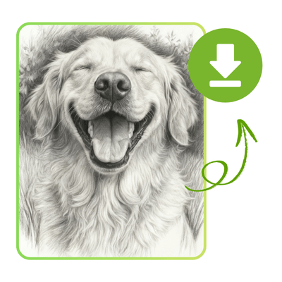 Convertisseur Photo en Croquis : Étape 3 : Générer Votre Croquis